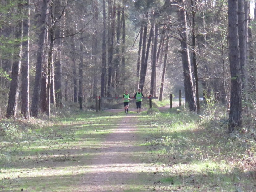 GielsBosloop 2015 - 053